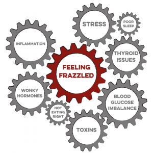 frazzled nutrition support low energy stress reduction